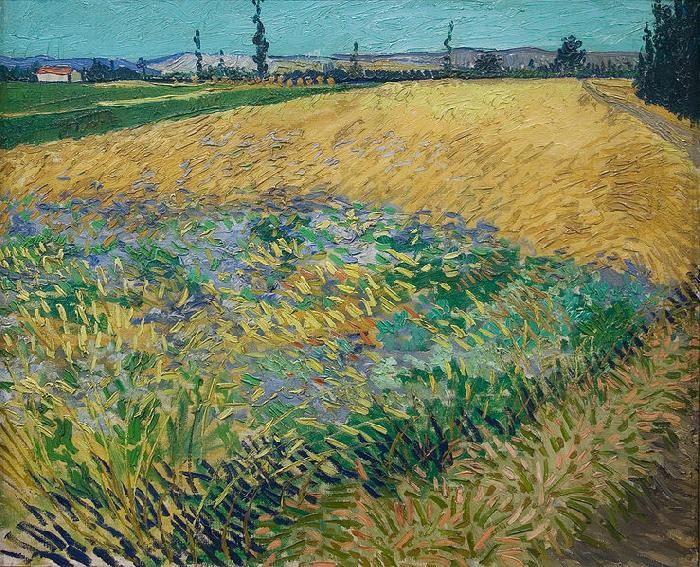 unknow artist Vincent van Gogh Wheatfield